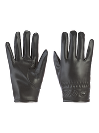 Aln Accessories Winter Skiing Gloves Black